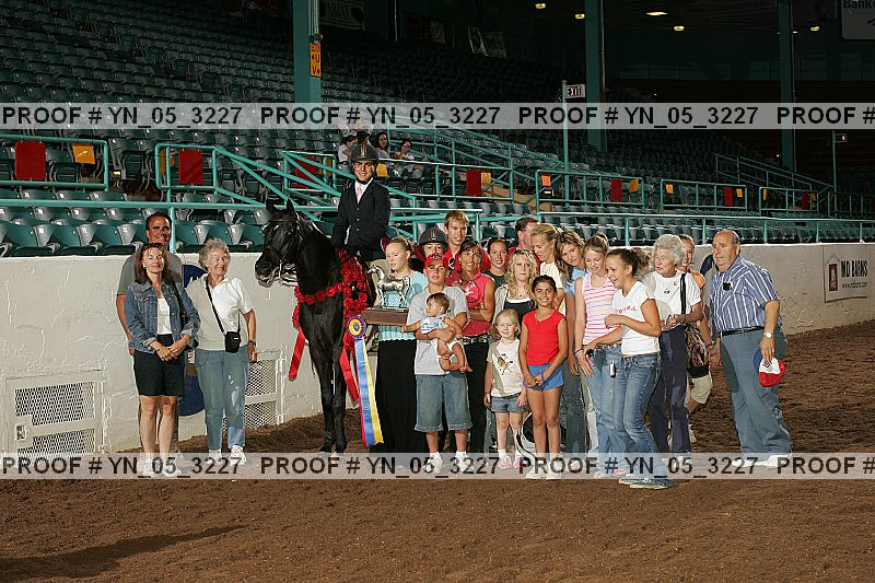 Proof Number yn_05_3227