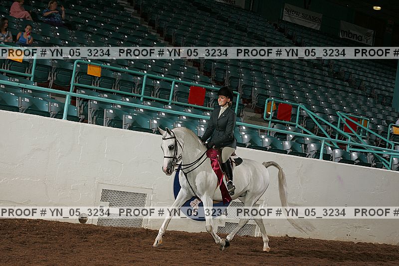 Proof Number yn_05_3234