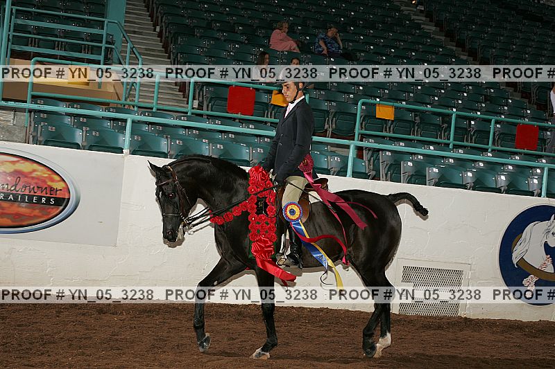 Proof Number yn_05_3238