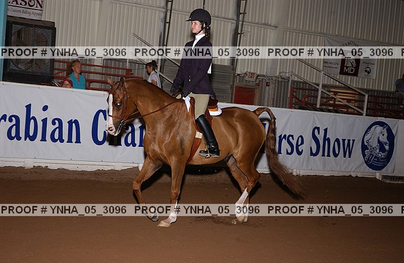 Proof Number ynha_05_3096