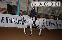 Proof Number ynha_05_3101