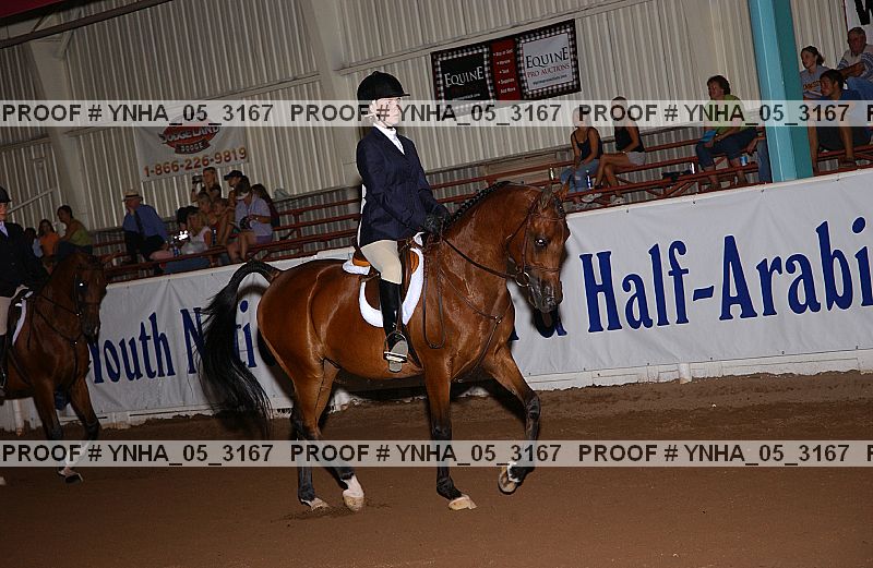 Proof Number ynha_05_3167