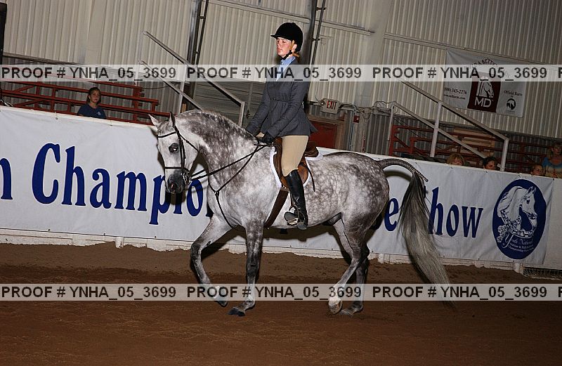 Proof Number ynha_05_3699