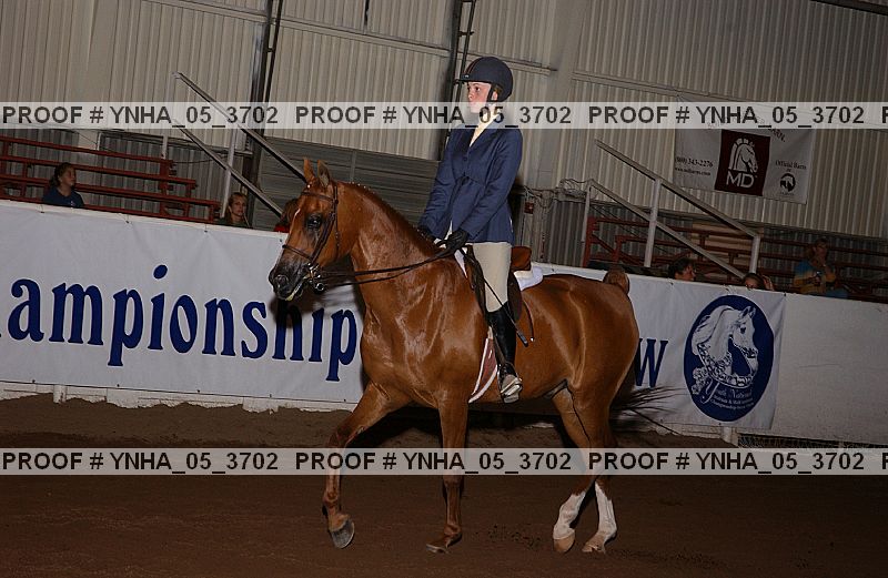 Proof Number ynha_05_3702