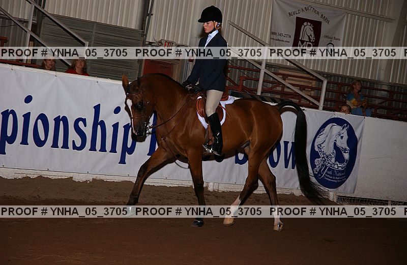 Proof Number ynha_05_3705