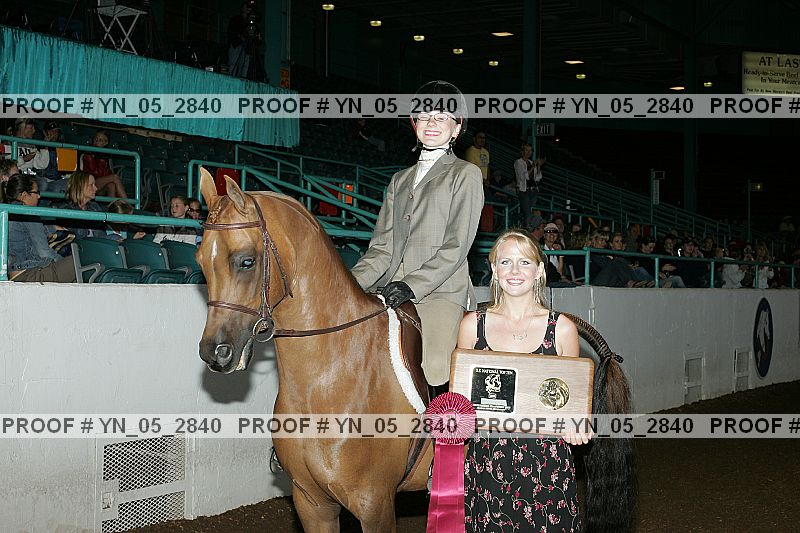 Proof Number yn_05_2840