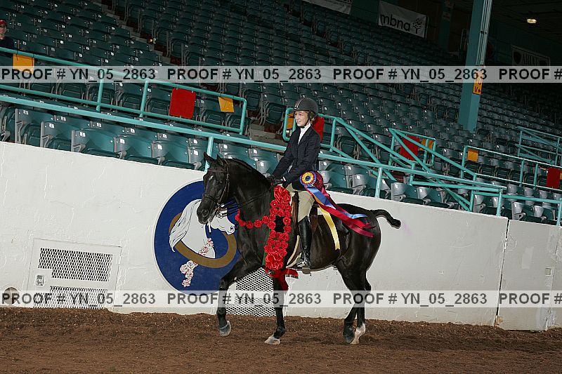 Proof Number yn_05_2863