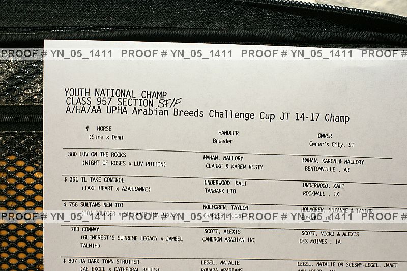 Proof Number yn_05_1411