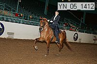 Proof Number yn_05_1412