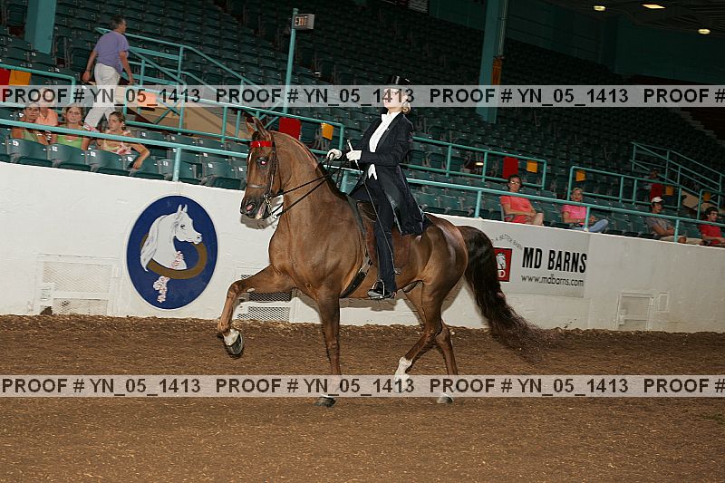 Proof Number yn_05_1413