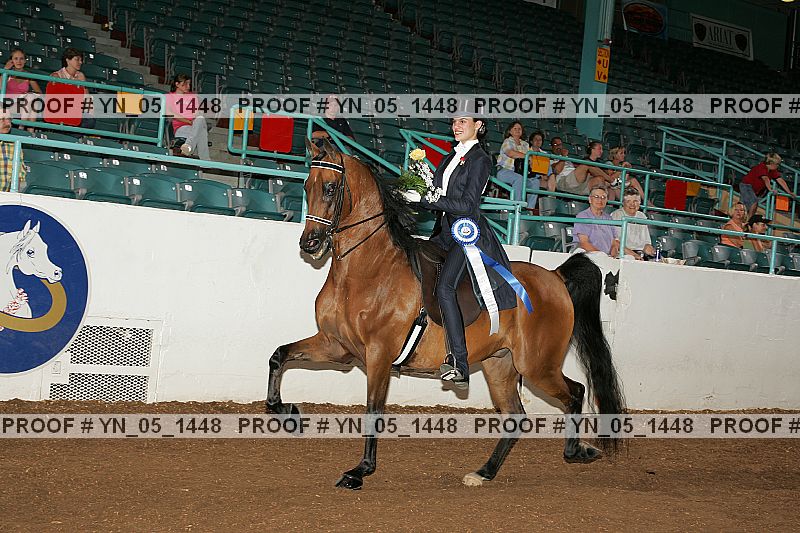 Proof Number yn_05_1448