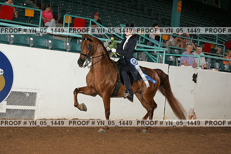 Proof Number yn_05_1449