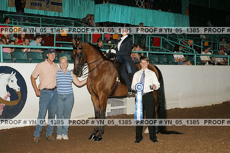 Proof Number yn_05_1385