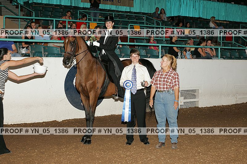 Proof Number yn_05_1386