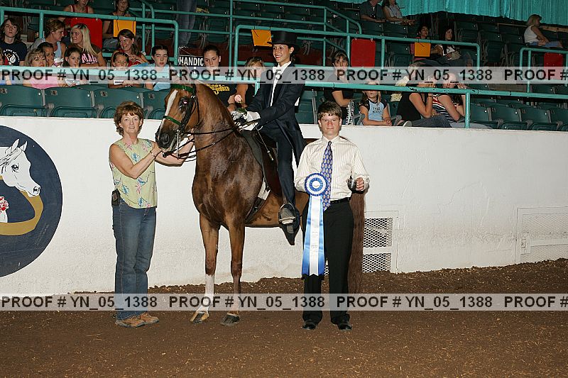 Proof Number yn_05_1388