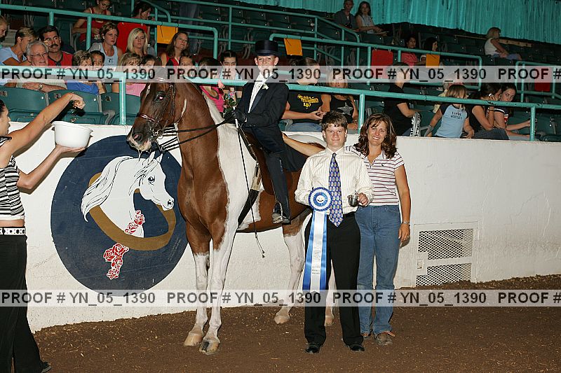 Proof Number yn_05_1390