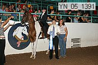 Proof Number yn_05_1391