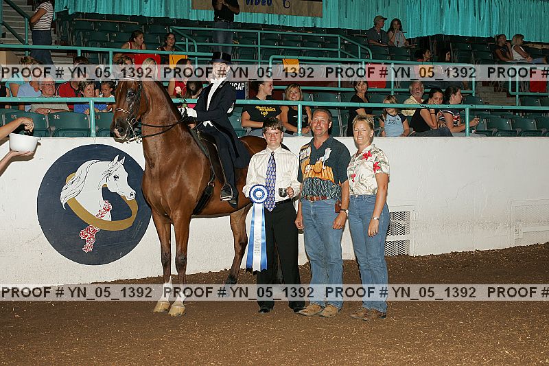Proof Number yn_05_1392