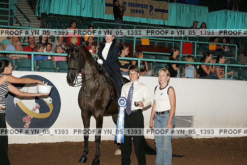 Proof Number yn_05_1393