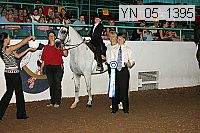 Proof Number yn_05_1395