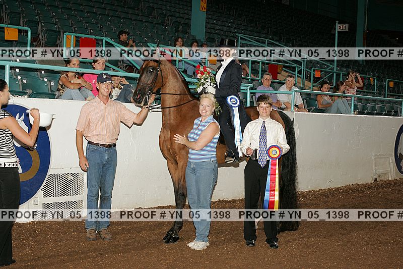 Proof Number yn_05_1398
