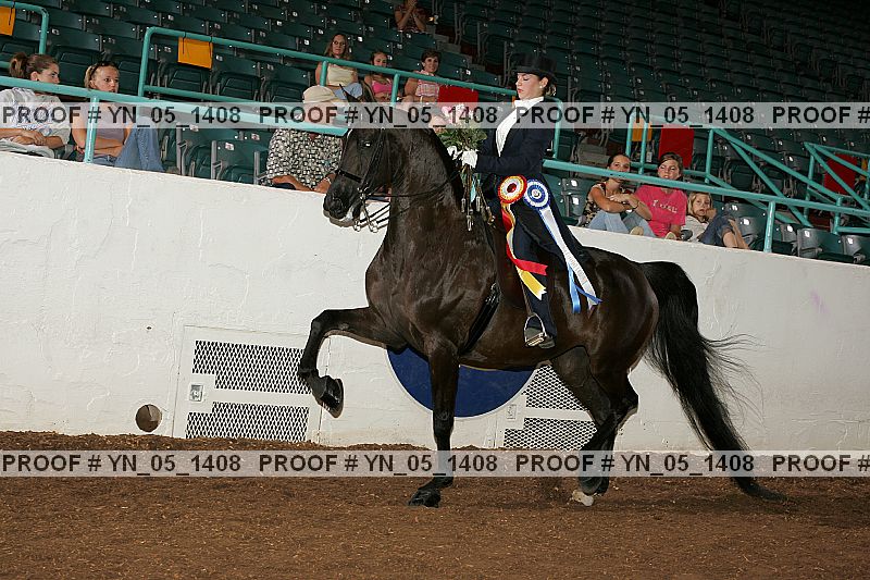 Proof Number yn_05_1408
