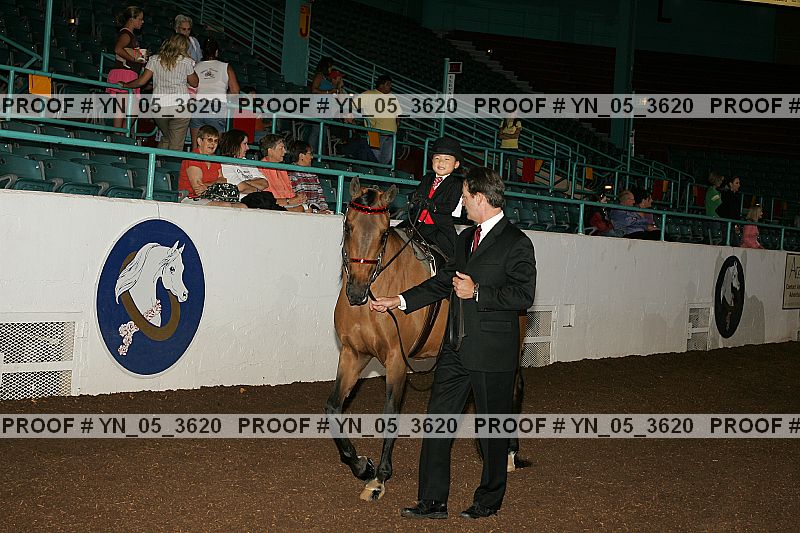 Proof Number yn_05_3620