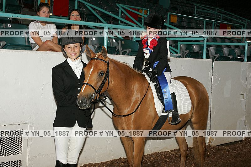 Proof Number yn_05_1887