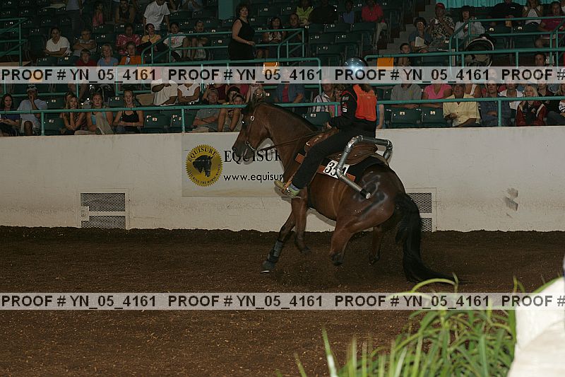 Proof Number yn_05_4161