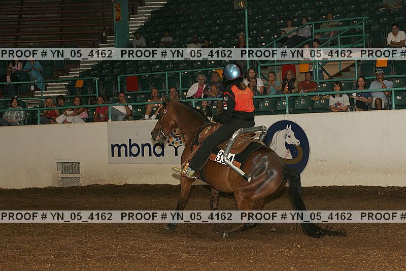 Proof Number yn_05_4162