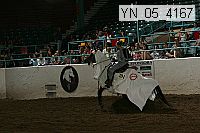 Proof Number yn_05_4170