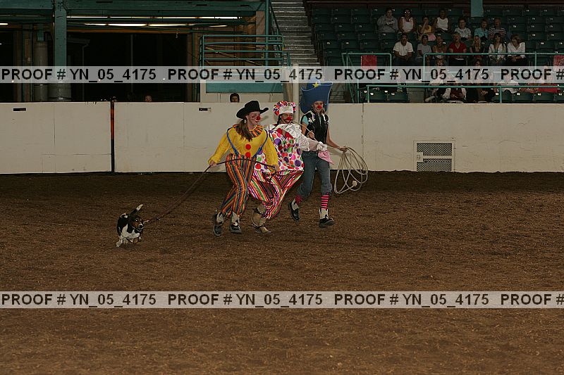 Proof Number yn_05_4175