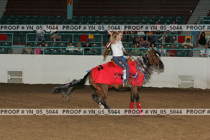 Proof Number yn_05_5044