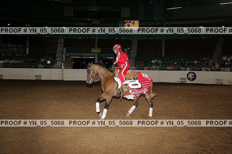 Proof Number yn_05_5068