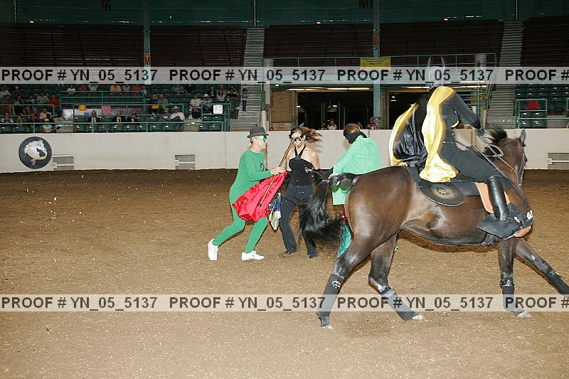 Proof Number yn_05_5137