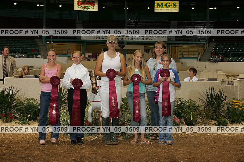 Proof Number yn_05_3509