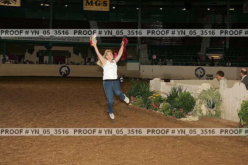 Proof Number yn_05_3516