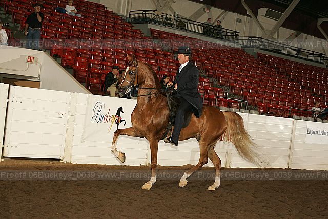 Proof Number 06buckeye_0039