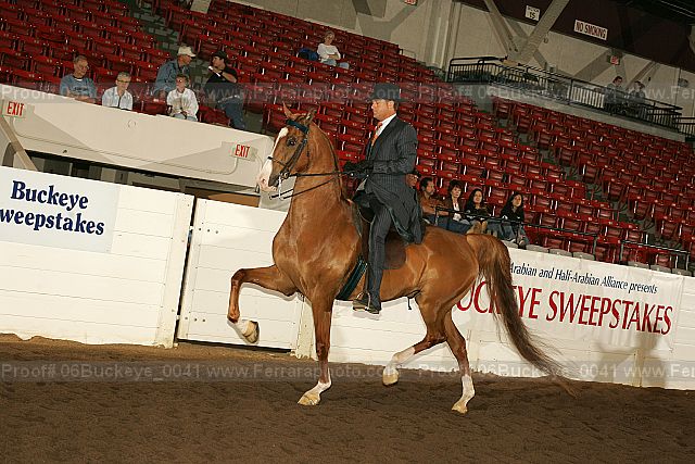 Proof Number 06buckeye_0041