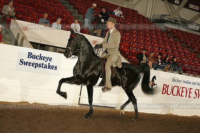 Proof Number 06buckeye_0047