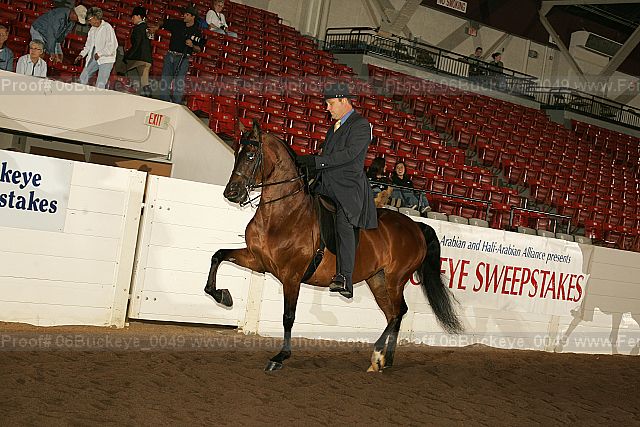 Proof Number 06buckeye_0049