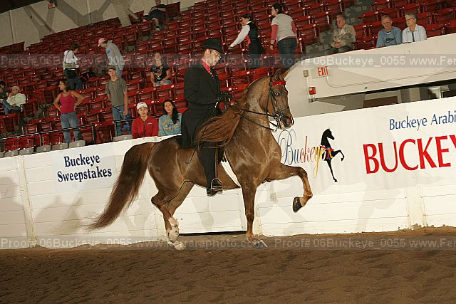 Proof Number 06buckeye_0055