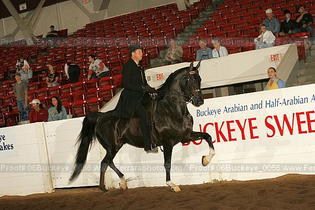 Proof Number 06buckeye_0056
