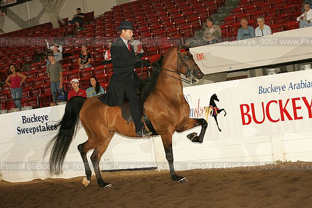 Proof Number 06buckeye_0057