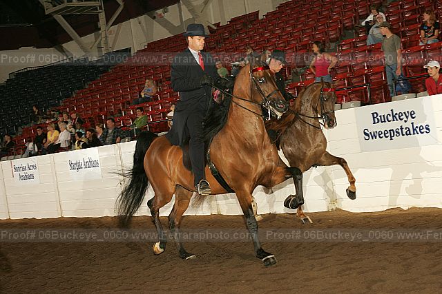 Proof Number 06buckeye_0060