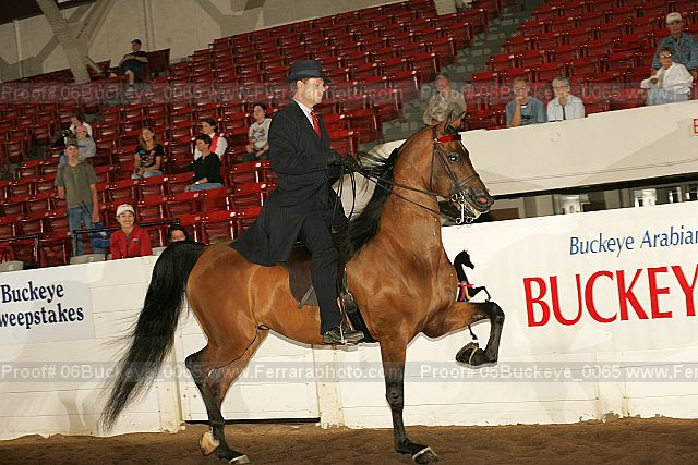 Proof Number 06buckeye_0065