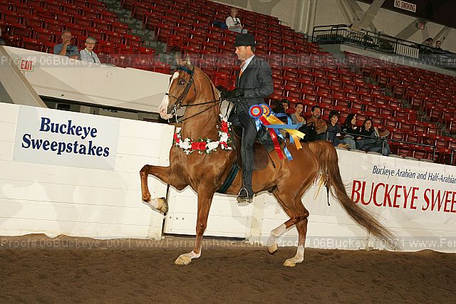 Proof Number 06buckeye_0071