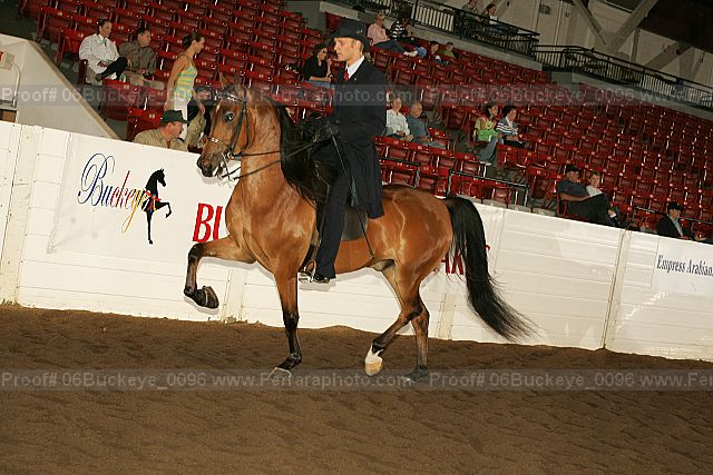 Proof Number 06buckeye_0096