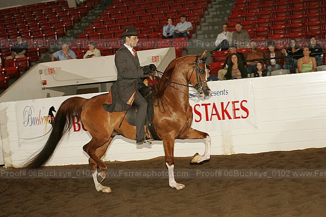 Proof Number 06buckeye_0102