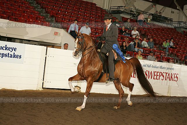 Proof Number 06buckeye_0106